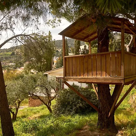Cosy With Treehouse In Olive Grove טולון