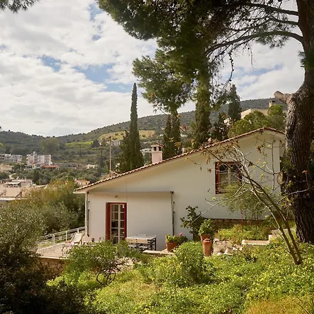 Cosy With Treehouse In Olive Grove *