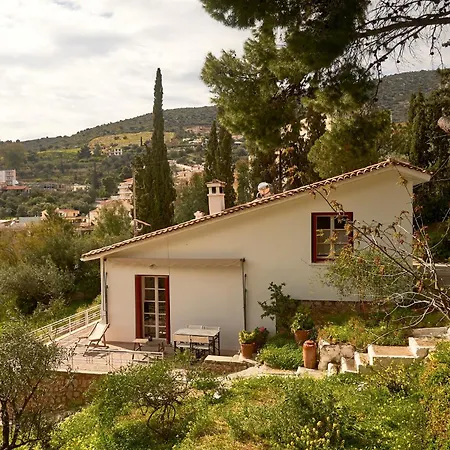 Cosy With Treehouse In Olive Grove *