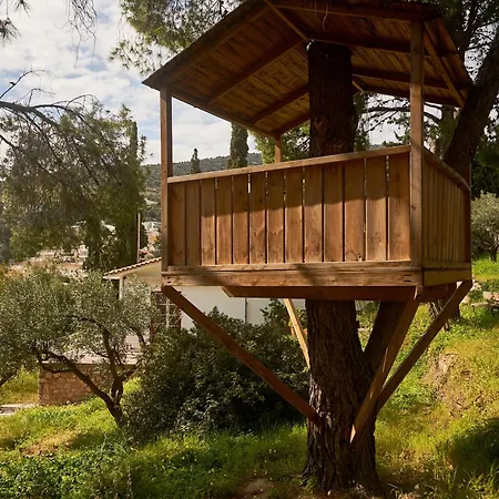 בית נופש Cosy With Treehouse In Olive Grove טולון