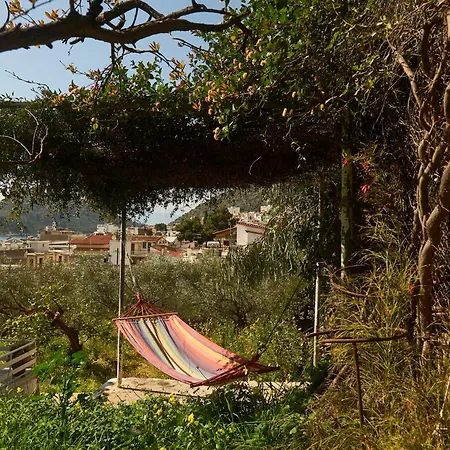 Cosy With Treehouse In Olive Grove בית נופש *