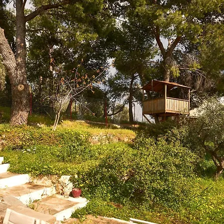 Cosy With Treehouse In Olive Grove