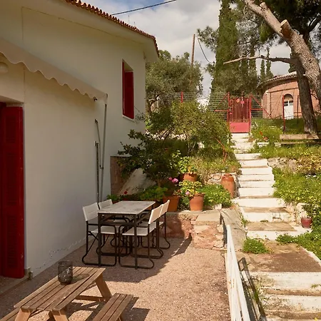 Cosy With Treehouse In Olive Grove Tolón